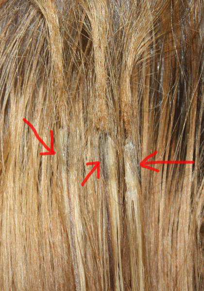 Kim Lake Hair